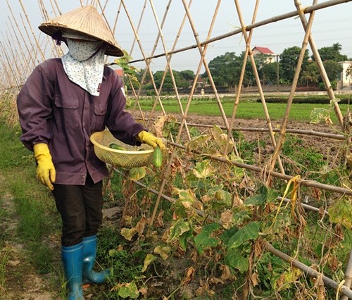 Quang Ninh’s new model of building new rural areas - ảnh 2